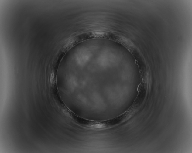 X0000086320610200704131655