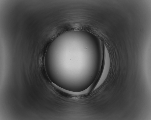 X0000086320611200704131655