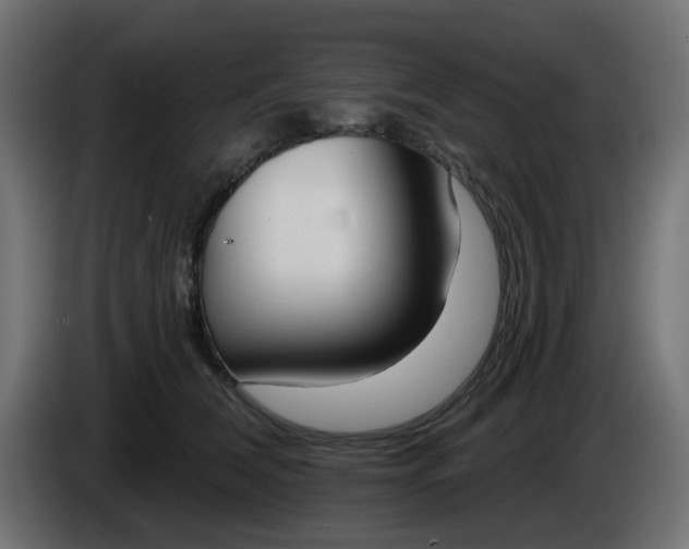 X0000086320612200704131655