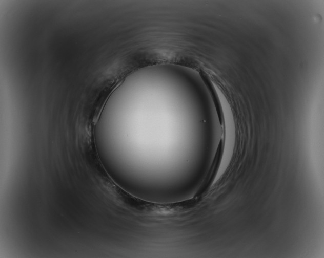 X0000086320613200704131655