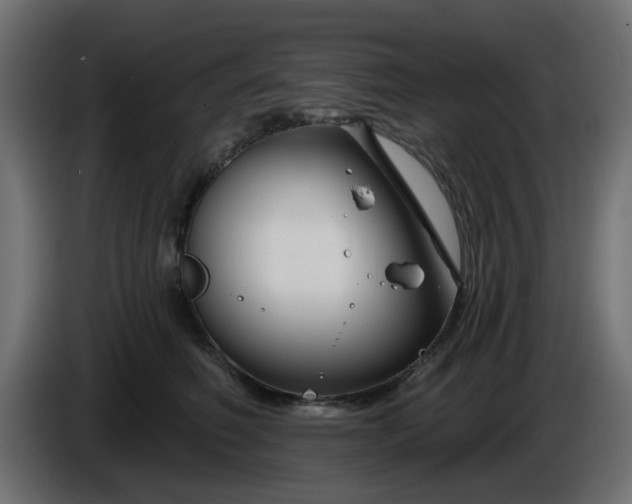 X0000086320614200704131655