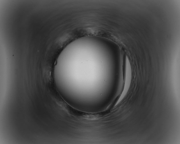 X0000086320615200704131655