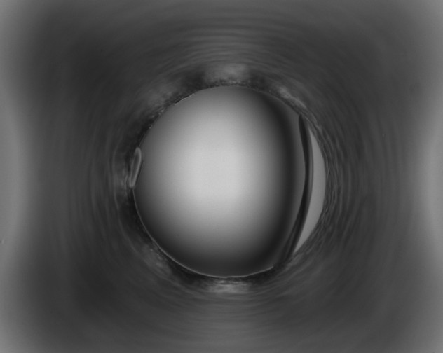 X0000086320617200704131655