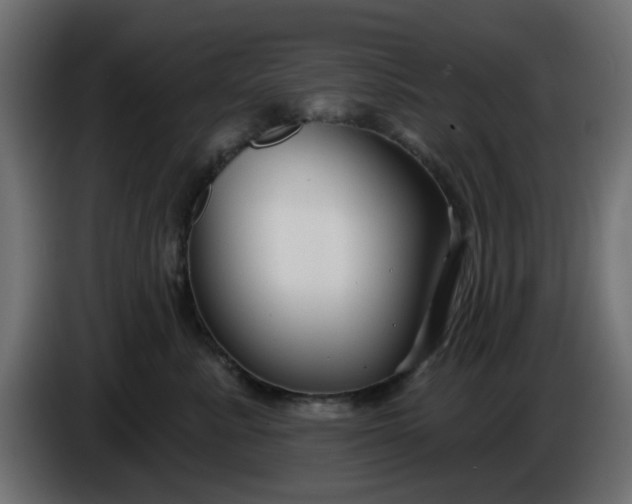 X0000086320619200704131655