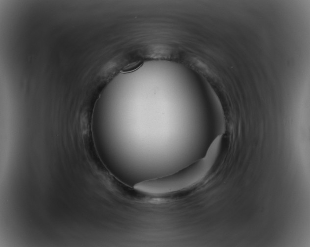 X0000086320620200704131655