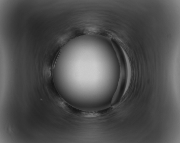 X0000086320621200704131655