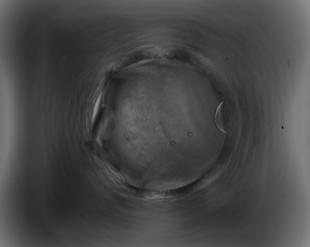 X0000086320624200704131655