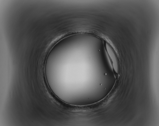 X0000086320625200704131654