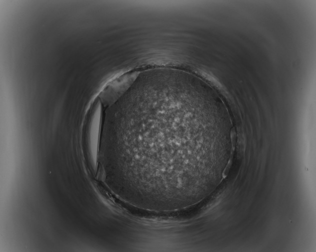 X0000086320626200704131654