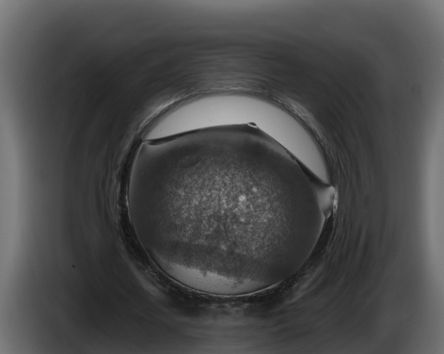 X0000086320627200704131654