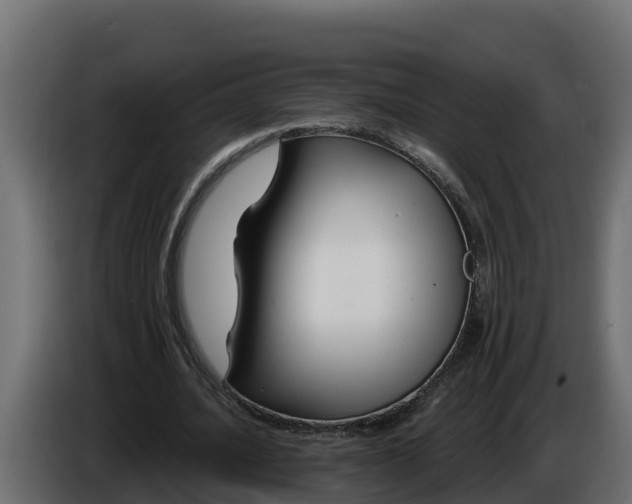 X0000086320628200704131654