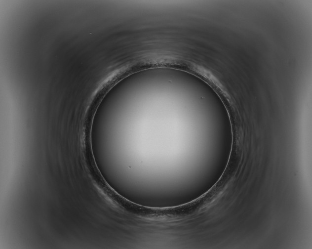 X0000086320629200704131654