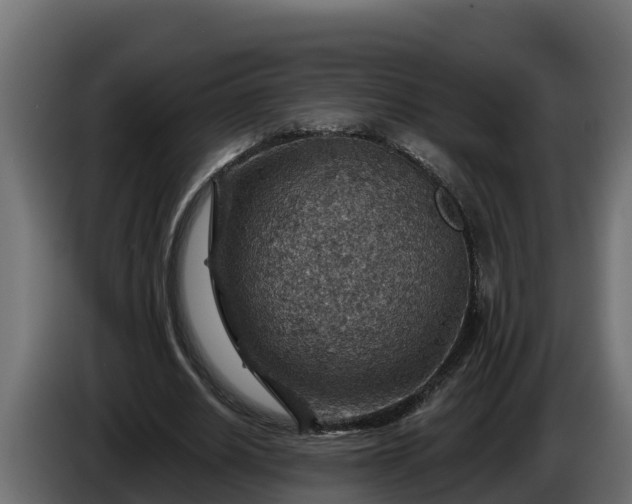 X0000086320630200704131654