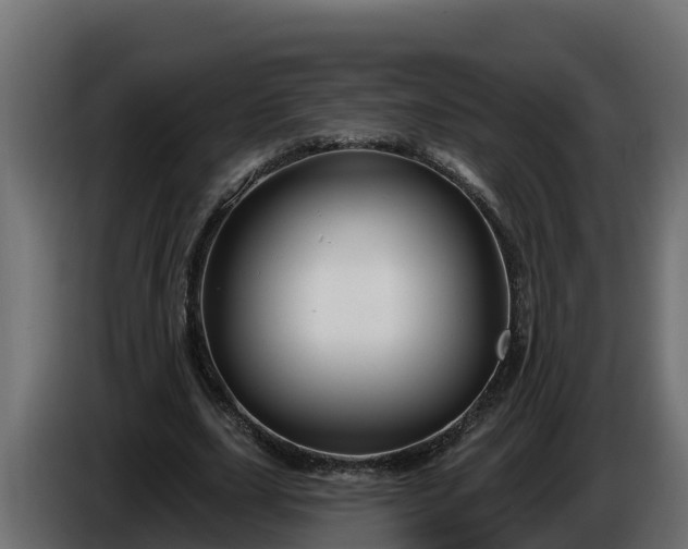 X0000086320631200704131654