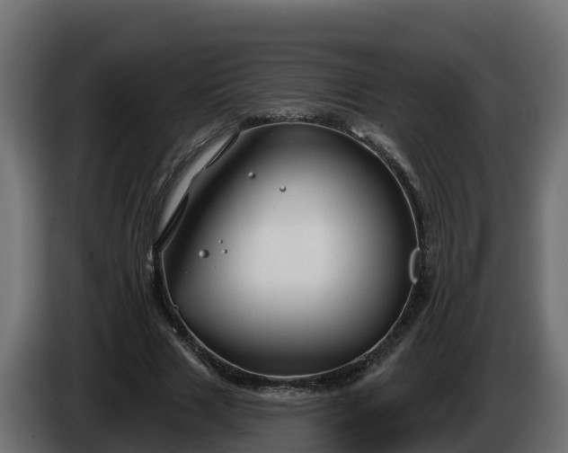 X0000086320633200704131654