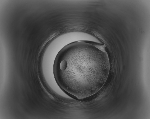 X0000086320634200704131654