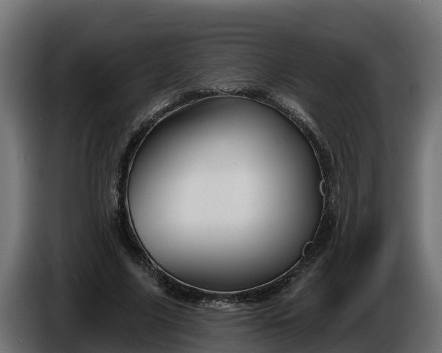 X0000086320635200704131654