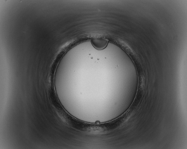 X0000086320636200704131654