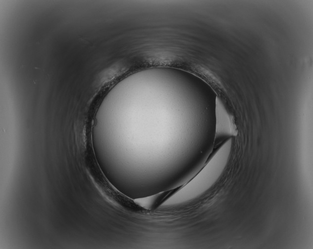 X0000086320638200704131654