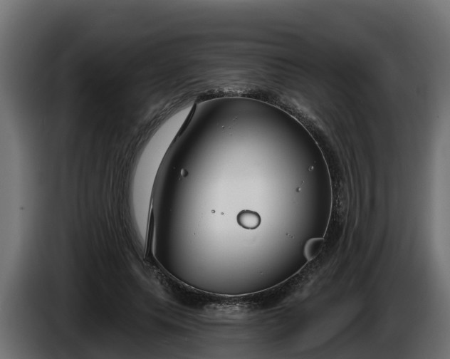 X0000086320639200704131654