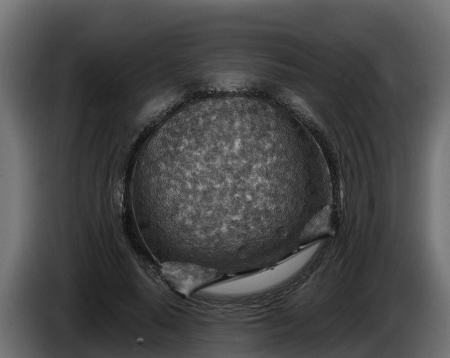 X0000086320640200704131654