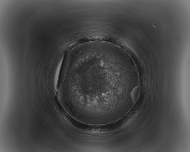 X0000086320641200704131654