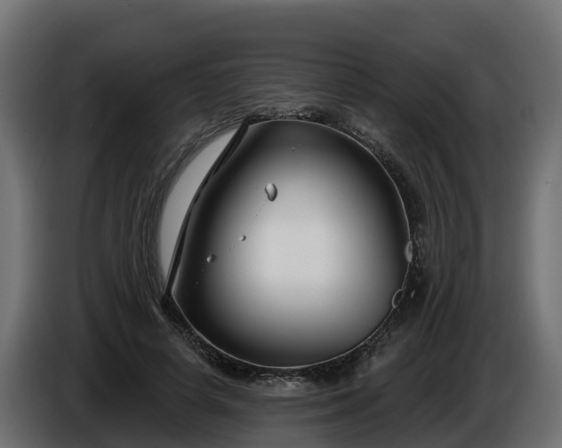 X0000086320642200704131654