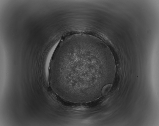 X0000086320643200704131654