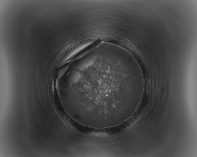 X0000086320644200704131654