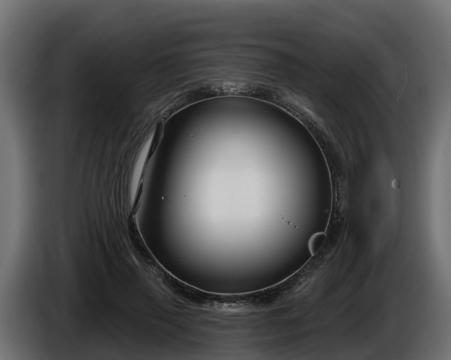 X0000086320645200704131654