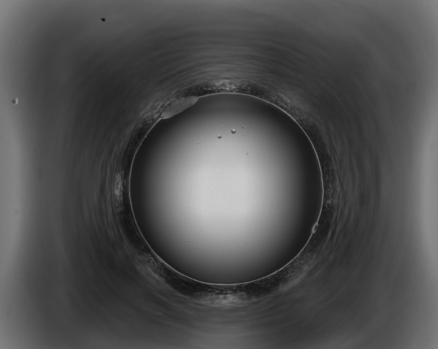 X0000086320646200704131654