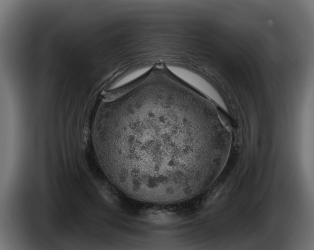 X0000086320648200704131654