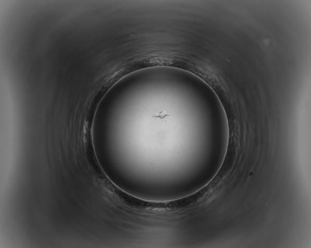 X0000086320649200704131654