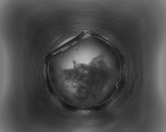 X0000086320650200704131654