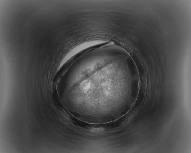 X0000086320653200704131654