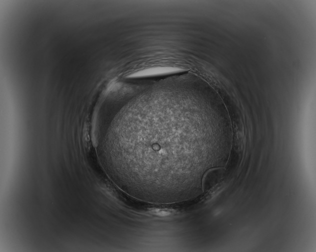 X0000086320654200704131654