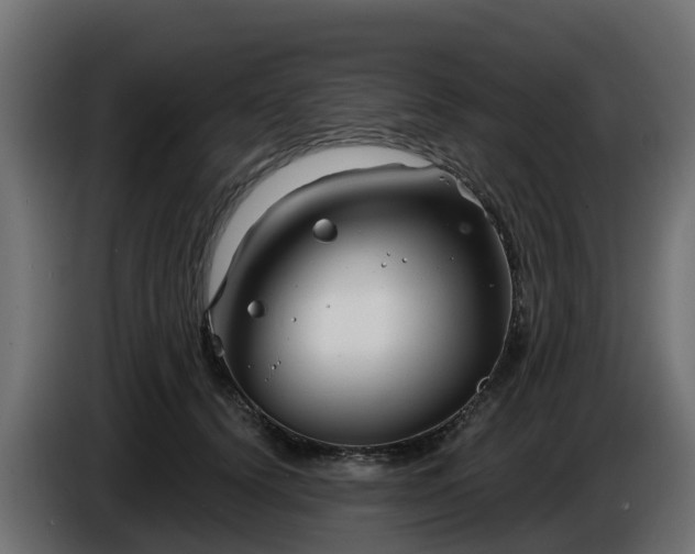 X0000086320656200704131654