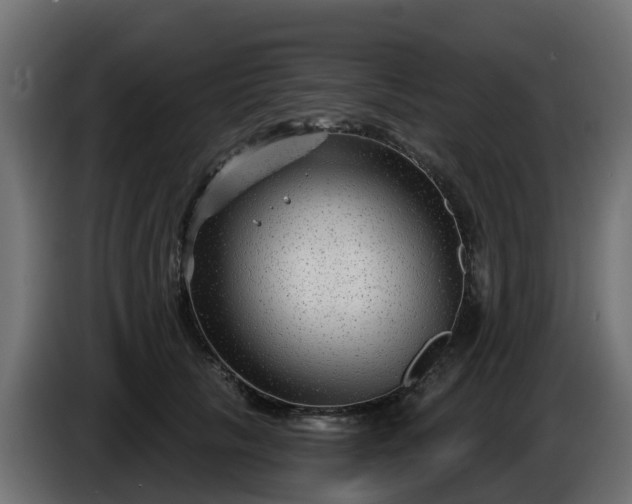 X0000086320657200704131654