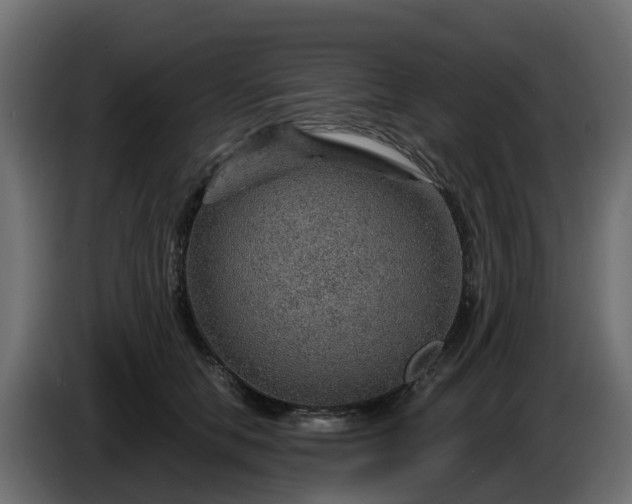 X0000086320658200704131654