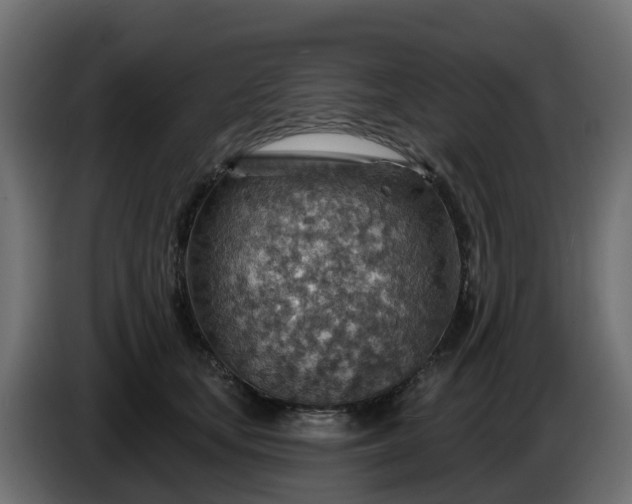 X0000086320659200704131654