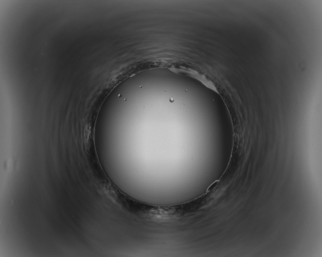 X0000086320660200704131654