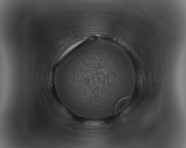 X0000086320661200704131654