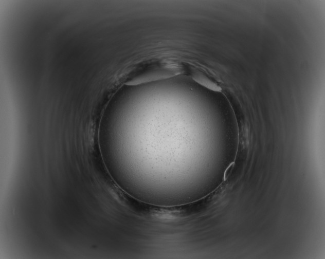 X0000086320664200704131654