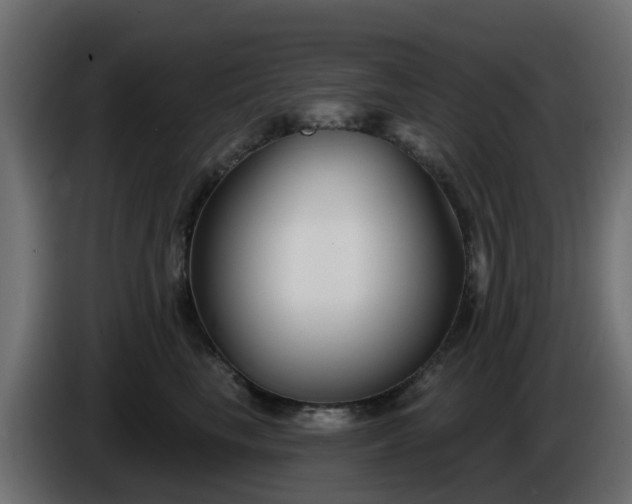 X0000086320665200704131654