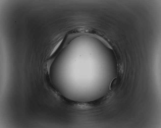 X0000086320666200704131654