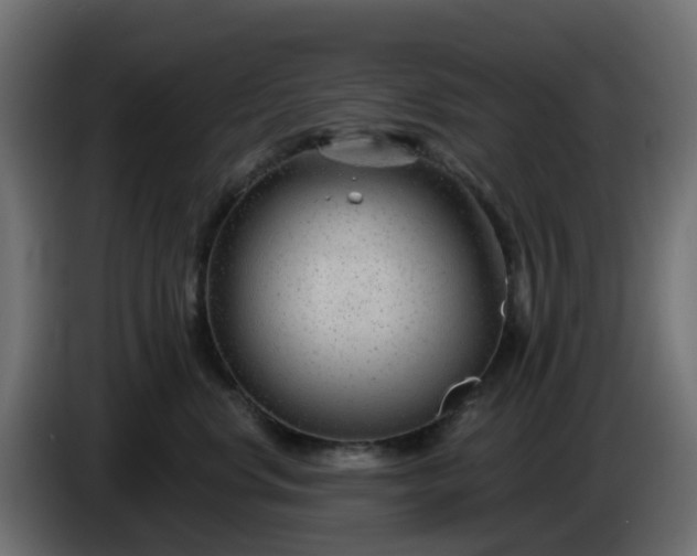 X0000086320668200704131654