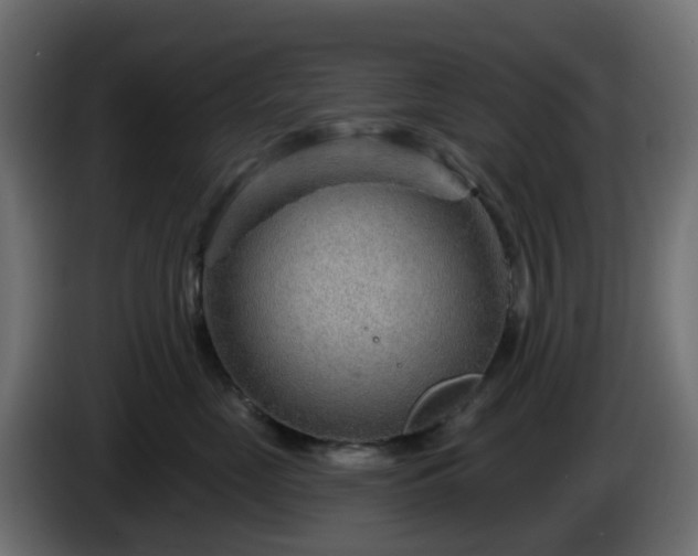 X0000086320669200704131654