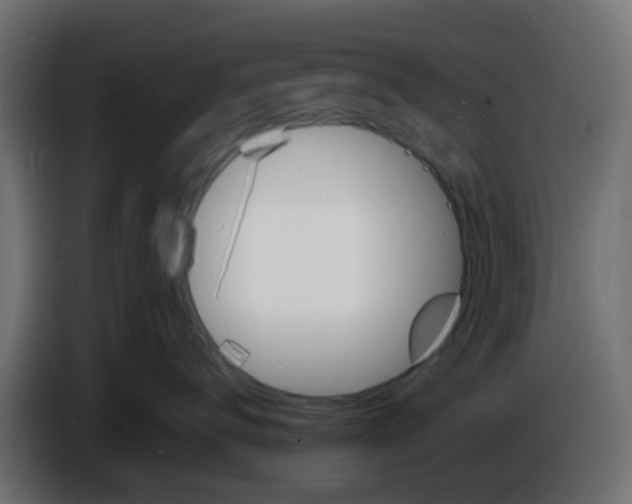 X0000086320672200704131655