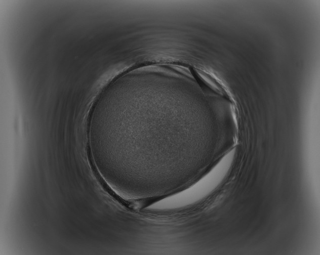 X0000086320673200704131654