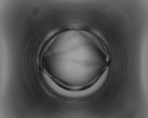 X0000086320674200704131654